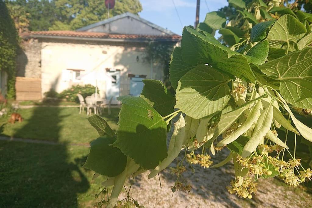 Entire Apartment With Swimming Pool Near Aubeterre Saint-Romain  Экстерьер фото