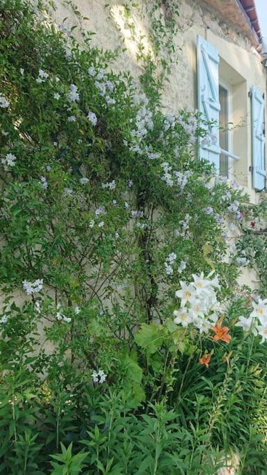 Entire Apartment With Swimming Pool Near Aubeterre Saint-Romain  Экстерьер фото