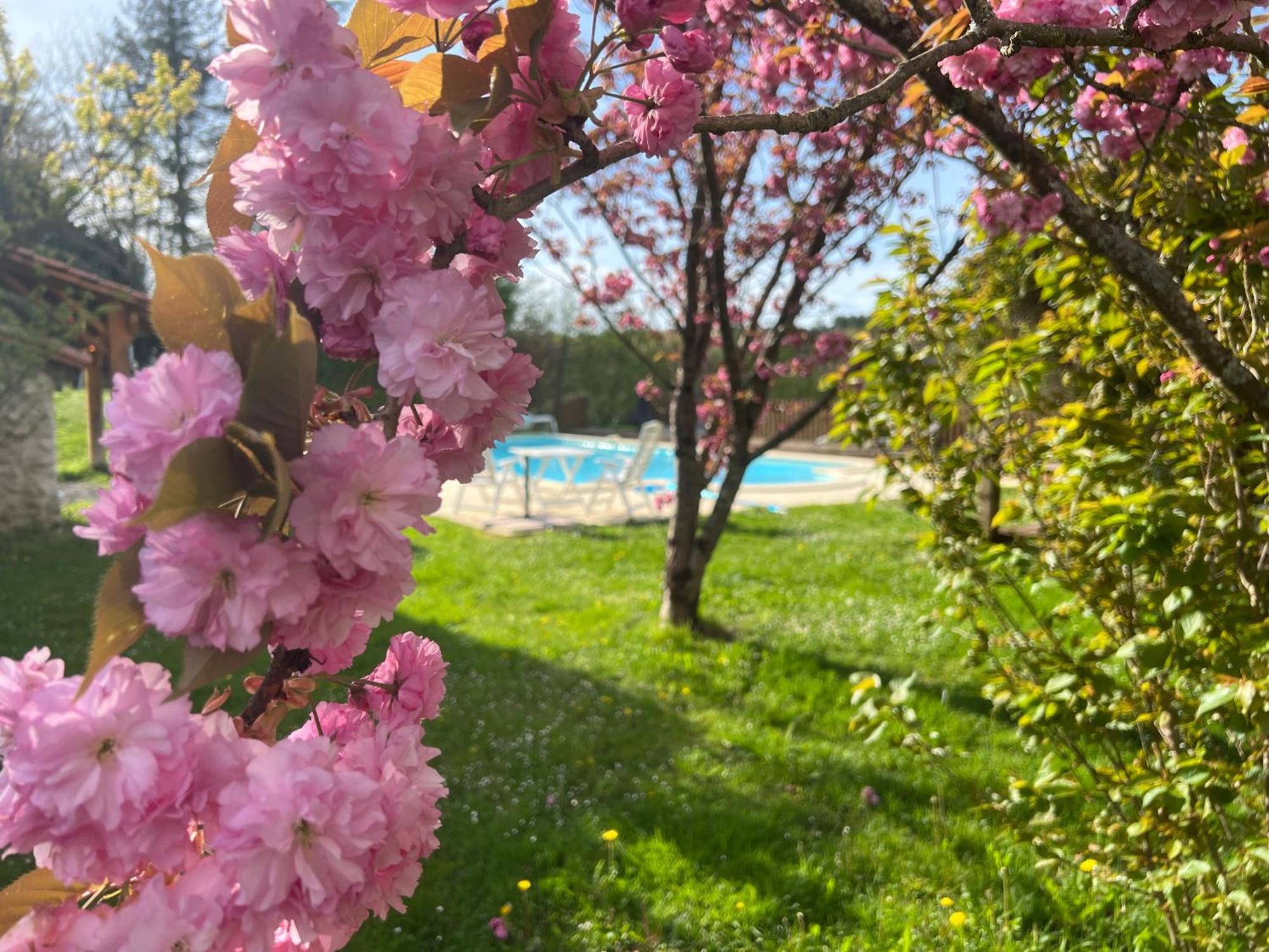 Entire Apartment With Swimming Pool Near Aubeterre Saint-Romain  Экстерьер фото